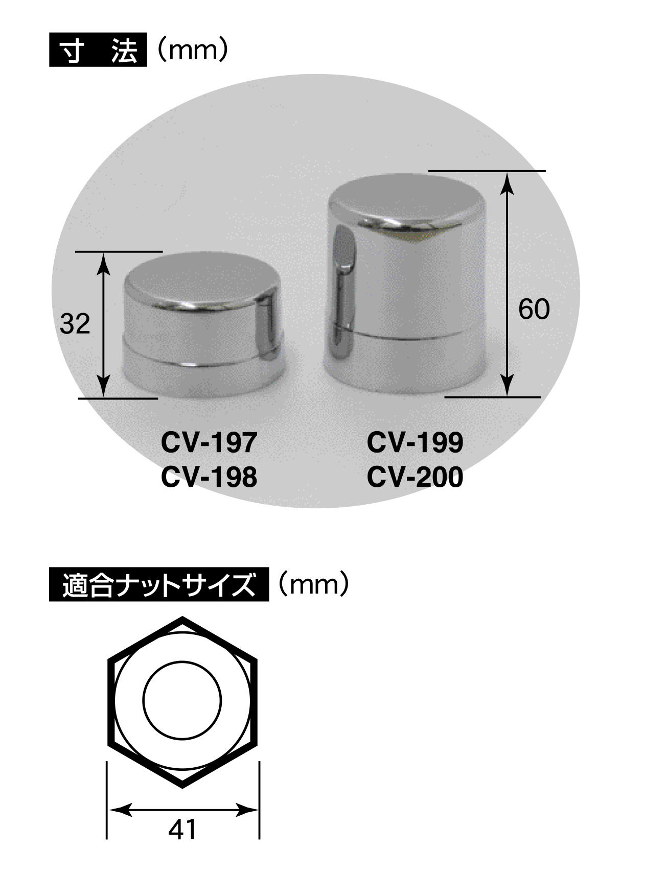 キャップボルト 5 X 40 チタン 生地 【200本】 - 材料、部品